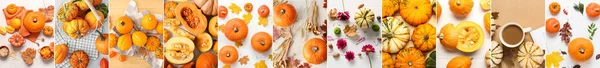 Autumn Collage Many Pumpkins Top View — 스톡 사진