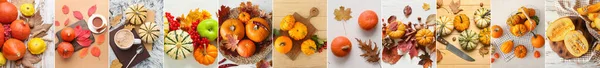 Autumn Collage Many Pumpkins Top View — Zdjęcie stockowe