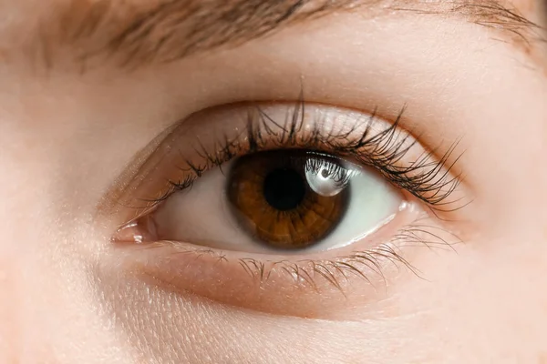 Young Woman Brown Eyes Closeup — Stock Photo, Image