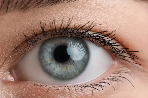 Young Woman Blue Eyes Closeup — Foto de Stock