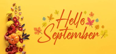 Text HELLO SEPTEMBER ad beautiful autumn composition on yellow background