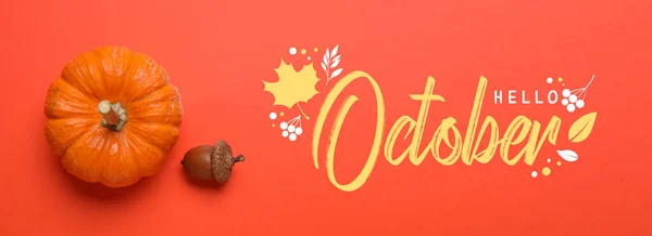 Text Hello October Pumpkin Acorn Red Background — Fotografia de Stock