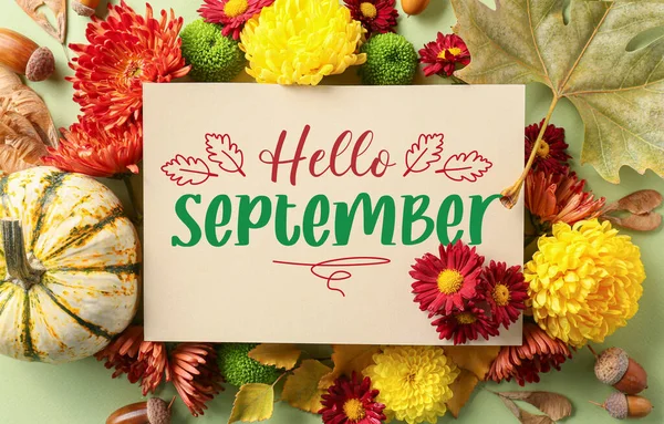 Card Text Hello September Beautiful Autumn Composition Light Green Background — Photo