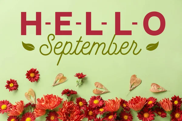 Text Hello September Beautiful Autumn Composition Light Green Background — Foto Stock