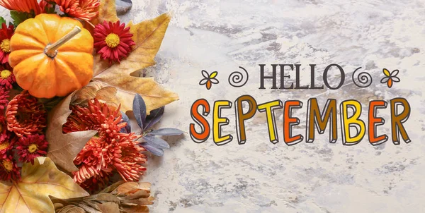 Text Hello September Beautiful Autumn Composition Grunge Background — Foto Stock