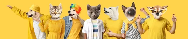 Group of funny cats and dogs with human bodies on yellow background