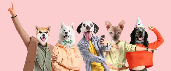 Ομάδα Αστεία Γάτα Και Σκυλιά Ανθρώπινα Σώματα Ροζ Φόντο — Φωτογραφία Αρχείου