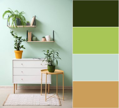 Interior of modern room with chest of drawers, table, houseplants and shelves near mint wall. Different color patterns