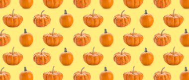 Many pumpkins on yellow background. Pattern for design