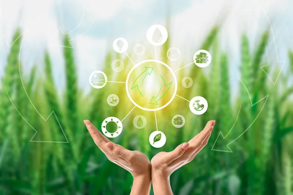 Female Hands Digital Icons Blurred Green Background Concept Green Technology — Fotografia de Stock
