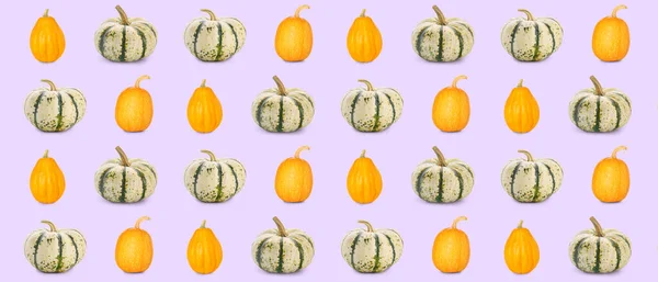 Many Pumpkins Lilac Background Pattern Design — Stock Photo, Image