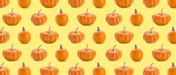 Many pumpkins on yellow background. Pattern for design