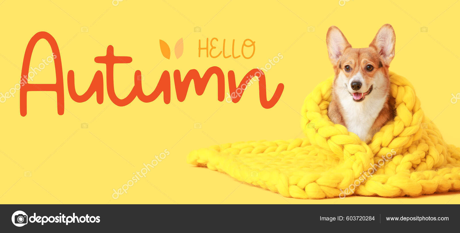 Cute Corgi Dog Warm Plaid Text Hello Autumn Yellow Background