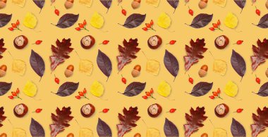 Many autumn leaves, chestnuts, berries and acorns on beige background. Banner for design
