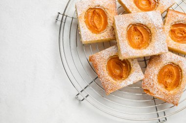 Grid with pieces of tasty apricot pie on light background, closeup