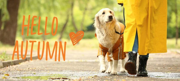 Αστείος Σκύλος Και Ιδιοκτήτης Περπατώντας Στο Πάρκο Τις Βροχερές Φθινοπωρινές — Φωτογραφία Αρχείου