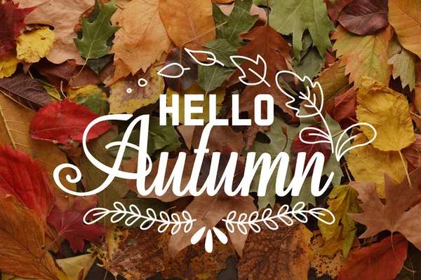 Poster with text HELLO AUTUMN and many leaves