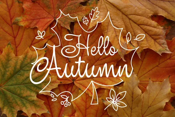 Poster Text Hello Autumn Many Leaves — Stock fotografie
