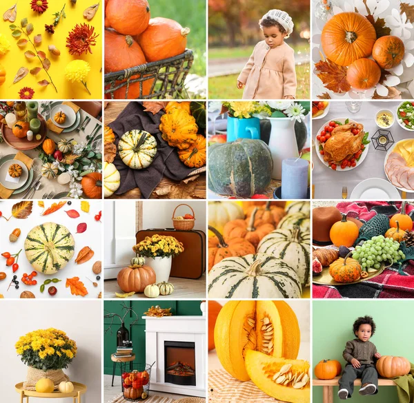 Festive Collage Thanksgiving Day Celebration — Stock Photo, Image