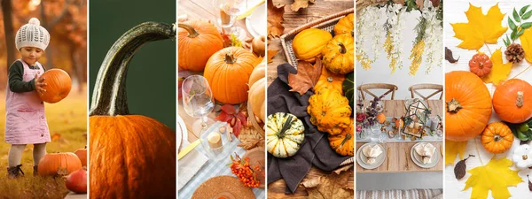 Collage Thanksgiving Day Celebration Little African American Girl Pumpkins — Stock Photo, Image