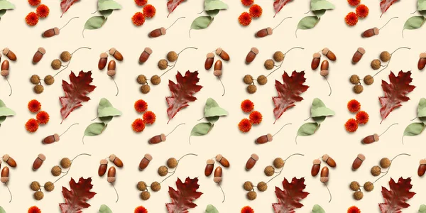 Many Autumn Leaves Acorns Flowers Light Background Banner Design — Zdjęcie stockowe