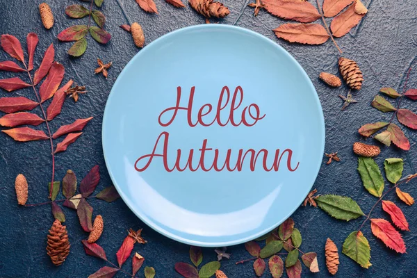 Plate Text Hello Autumn Dry Leaves Dark Background — Zdjęcie stockowe