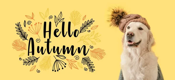 Χαριτωμένο Σκυλί Ζεστό Καπέλο Κίτρινο Φόντο Γεια Σου Φθινόπωρο — Φωτογραφία Αρχείου