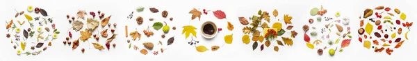 Beautiful Autumn Compositions White Background — Foto de Stock
