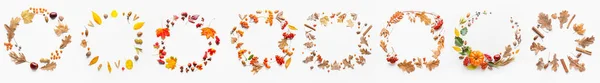 Frames Made Autumn Leaves Berries Seeds White Background — Stock Photo, Image