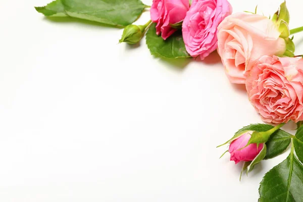 Frame Made Beautiful Pink Roses White Background — Stock Photo, Image
