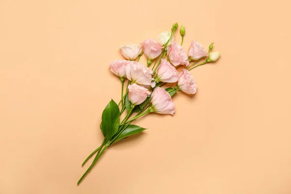 Beautiful pink flowers on beige background