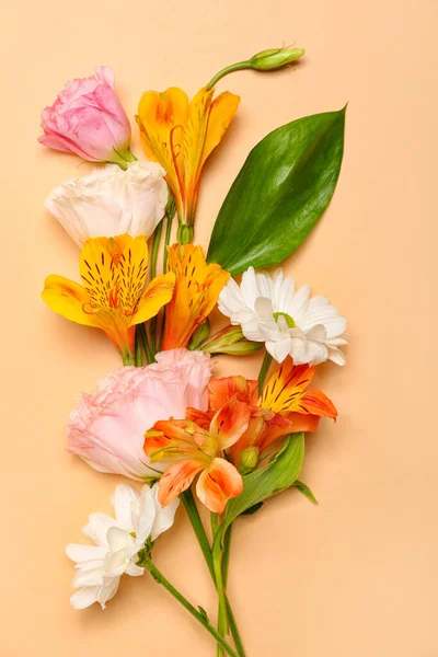 Красивые Цветы Бежевом Фоне — стоковое фото