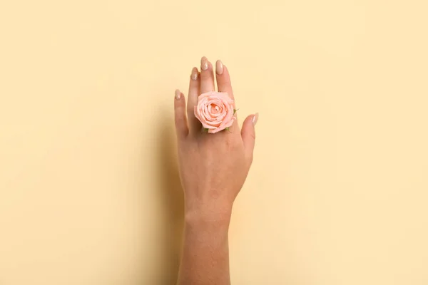 Woman Pink Rose Beige Background — Stock Photo, Image