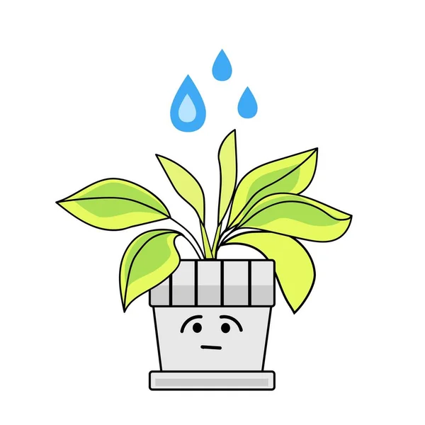 Watering Wilted Houseplant White Background — 스톡 벡터