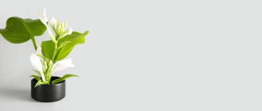 Beautiful ikebana on light background with space for text