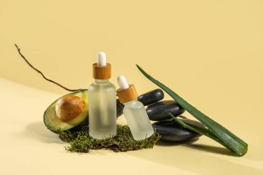 Composition with bottles of essential oil, avocado, spa stones and aloe leaves on color background