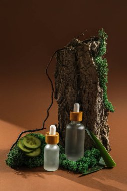 Composition with bottles of essential oil, tree bark and moss on color background
