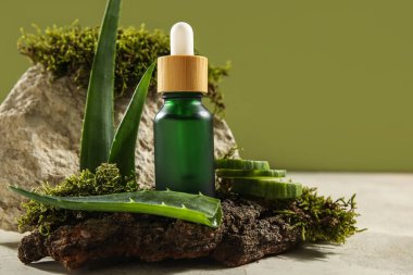 Composition with bottle of essential oil, aloe vera leaves and tree bark on table against green background