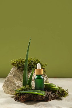 Composition with bottle of essential oil, aloe vera leaves and tree bark on table against green background