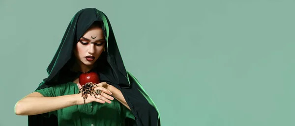 Молодая Ведьма Яблоком Пауком Зеленом Фоне Пространством Текста Праздник Хэллоуина — стоковое фото