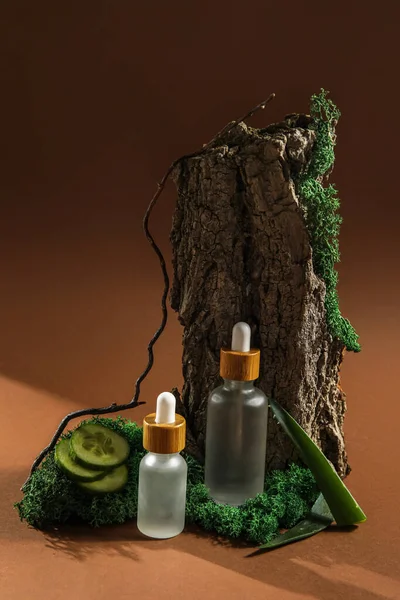 Composition with bottles of essential oil, tree bark and moss on color background