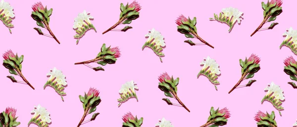 Many Beautiful Flowers Pink Background Pattern Design — Stockfoto