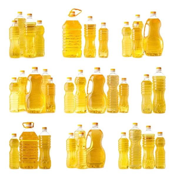 Many Bottles Sunflower Oil White Background — Fotografia de Stock