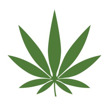 Green hemp leaf on white background