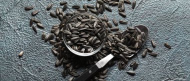 Bowl and spoon with sunflower seeds on grey background with space for text
