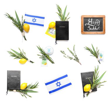 Set of Sukkot festival symbols on white background