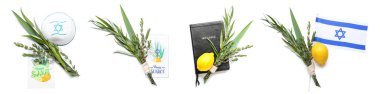 Set of Sukkot festival symbols on white background