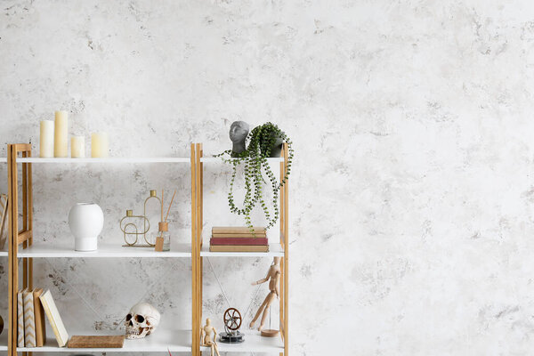 Shelving unit with books, decor and human skull near light wall