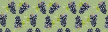 Many ripe grapes on green background. Pattern for design