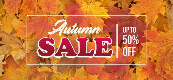 Banner for autumn sale with maple leaves